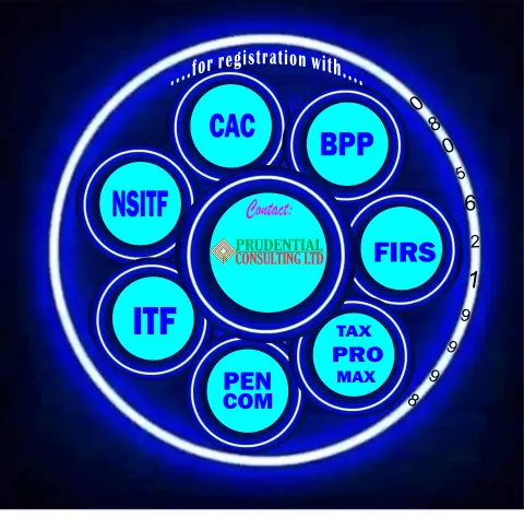WAYS TO GAIN GOVERNMENT CONTRACTS IN NIGERIA: