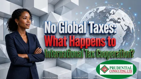 No Global Taxes