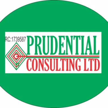 BUSINESS SUCCESS' DRIVER