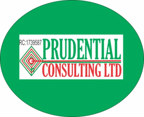 BUSINESS SUCCESS' DRIVER